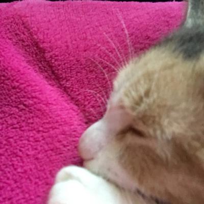 8尺様⓶ from Radiotalk