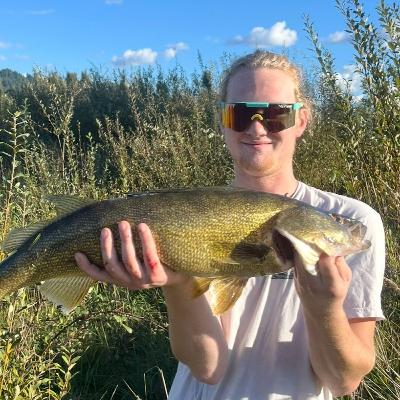 A delicious but notorious fish mysteriously shows up at Lookout Point, Upper Willamette Basin A delicious but notorious fish mysteriously shows up at Lookout Point, Upper Willamette Basin