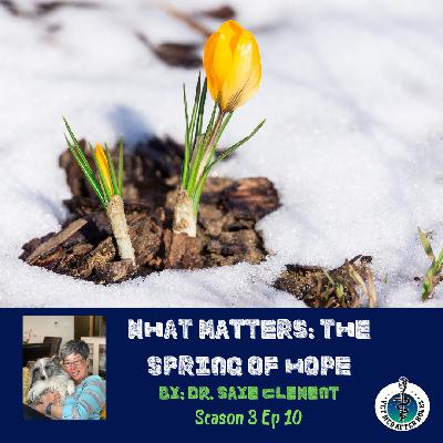 2020-The Spring of Hope