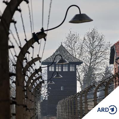 81 Jahre nach Auschwitz-Befreiung: Judenhass gestiegen