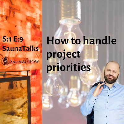9. Multitude of ideas - how to handle priorities