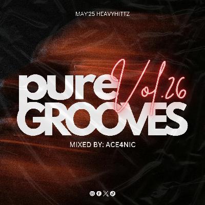 Pure Grooves Vol.26 Mixed By. ACE4NIC [May'25 Heavyhittz]