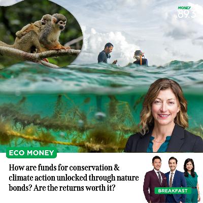 Eco Money: How are funds for conservation & climate action unlocked through nature bonds? Are the returns worth it?