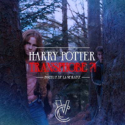 HARRY POTTER, Séparer la TERF de l’AUTEURE 🧙 (pastille de la semaine)