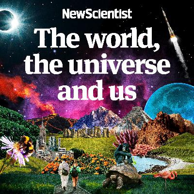 First complete map of brain activity; Queen ant lays eggs of another species; The perils of scrolling while on the toilet - The world, the universe and us