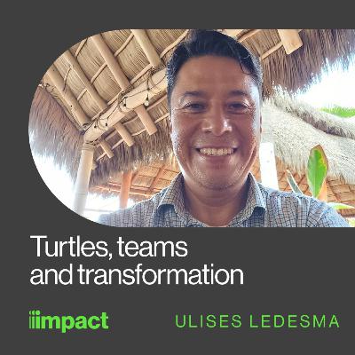 058: Turtles, teams and transformation - In Good Company with Ulises Ledesma 058: Turtles, teams and transformation - In Good Company with Ulises Ledesma