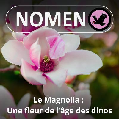 S05E04 Le Magnolia : Une fleur de l'âge des dinos !