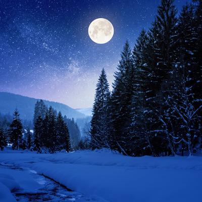 CALMING SNOW LANDING IN THE FOREST SOFT BREEZE AND RELAXING NOISES FOR SLEEP AND MEDITATION