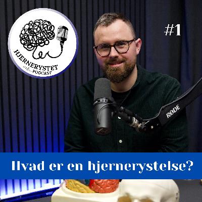 Hvad er en hjernerystelse?