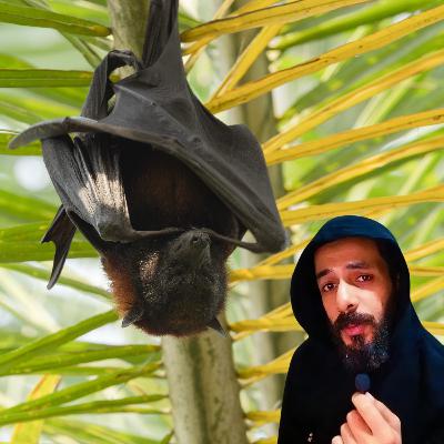 الحياة من وجهة نظر الخفاش الحياة من وجهة نظر الخفاش