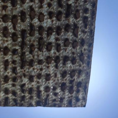 Arnie and the Great Afikomen Heist