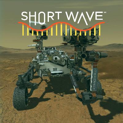 The Most Convincing Evidence Yet Of Life On Mars