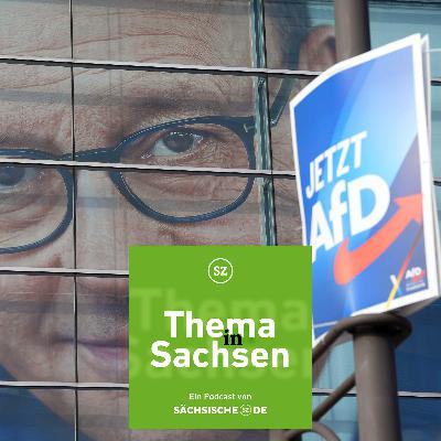 Gewinner, Verlierer, Konsequenzen: Die Bundestagswahl aus sächsischer Sicht