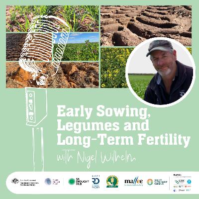 Early Sowing, Legumes and Long- Term Fertility Early Sowing, Legumes and Long- Term Fertility