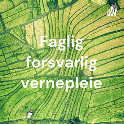 E01 - Hva ligger i begrepet forsvarlig vernepleie?
