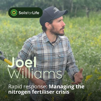 RAPID RESPONSE: Managing the nitrogen fertiliser crisis, with Joel Williams