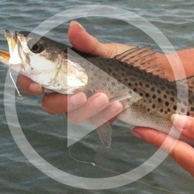 LISTEN: Fishing Report (01.22.20) - Trout stacking up - Sheepshead Shootout just around the corner