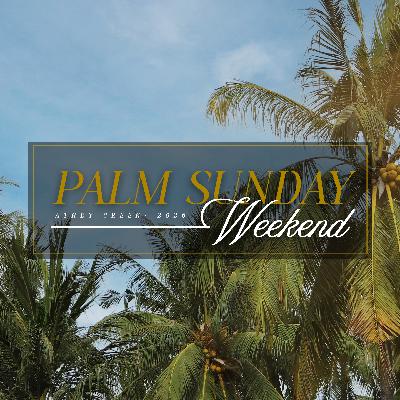 The King We Want vs. the King Who Came by Brett Meador