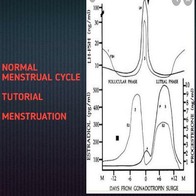 Normal Menstrual Cycle