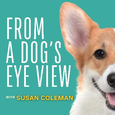 Welcome to From A Dog's Eye View