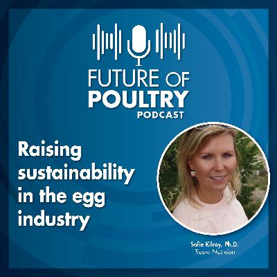 Raising sustainability in the egg industry