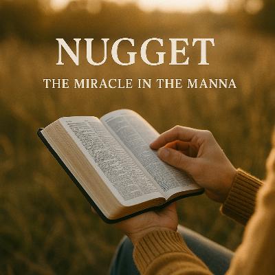 Thursday's Nugget - November 13, 2025