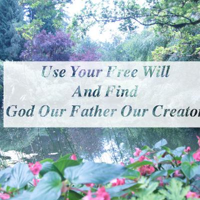 Use your free will Use your free will