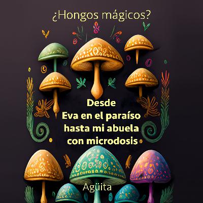 Cap 2 Los peregrinos