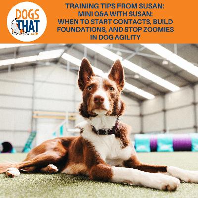 Training Tips From Susan: Mini Q&A With Susan: When To Start Contacts, Build Foundations, And Stop Zoomies In Dog Agility