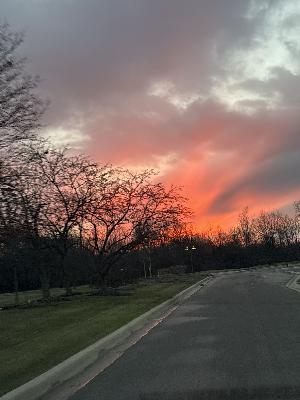 Spiritual Principles - Recovered 1407