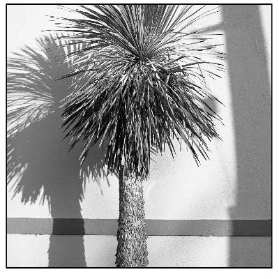 Medium Format 2025 - Going All In?