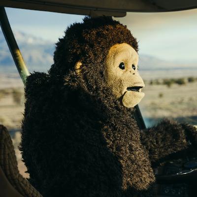 “Sunlight” - Interview with Film Director Nina Conti and Co-writer Shenoah Allen