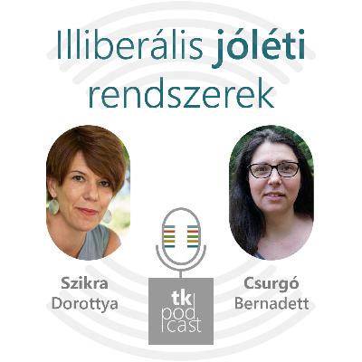 Illiberális jóléti rendszerek