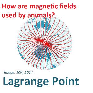 Episode 269 - Finding their way through the magnetosphere with quantum mechanics and chemistry