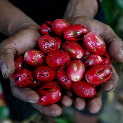 Tập 346 | Biến đổi khí hậu có nguồn gốc sâu xa hơn ta tưởng