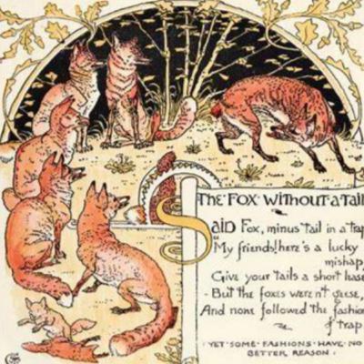 The Fox's Tail The Fox's Tail