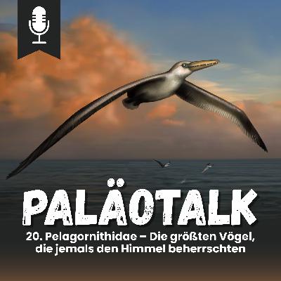 20. Pelagornithidae – Die größten Vögel, die jemals den Himmel beherrschten 20. Pelagornithidae – Die größten Vögel, die jemals den Himmel beherrschten