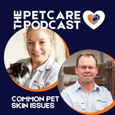Don't Google it! Common skin issues, puppy preschool tips and meet vet Andrew Litchfield Don't Google it! Common skin issues, puppy preschool tips and meet vet Andrew Litchfield