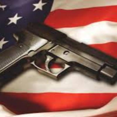 The Mass Shooting: What Will It Take To Get The Government Attention