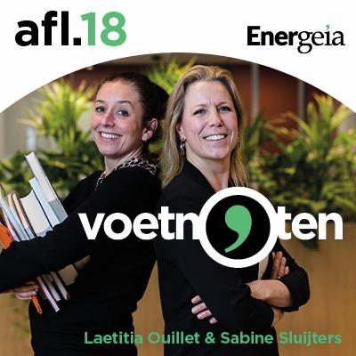 Waarom de warmtetransitie niet vlot