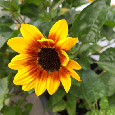 Kleine Bitten an den großen Gott Kleine Bitten an den großen Gott