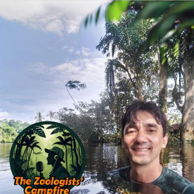 Rodrigo Willemart on ant-guided dating, and not drowning on an empty stomach