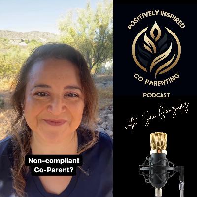 Dealing with Non-Compliance from the Other Parent (Part 2) Dealing with Non-Compliance from the Other Parent (Part 2)