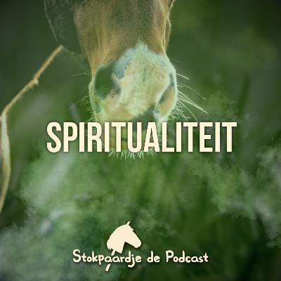 #12 Spiritualiteit #12 Spiritualiteit