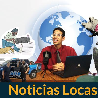 Noticias Locas | Trasplante de Corazón 💖🐷 / Policías al Rescate 👮/ Terror en el lago 😨 / Choco 🐶🎂