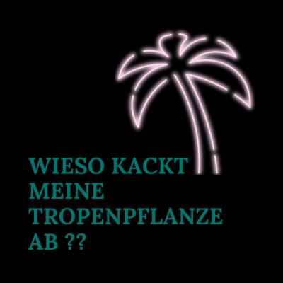 Wieso kackt meine Tropenpflanze ab?