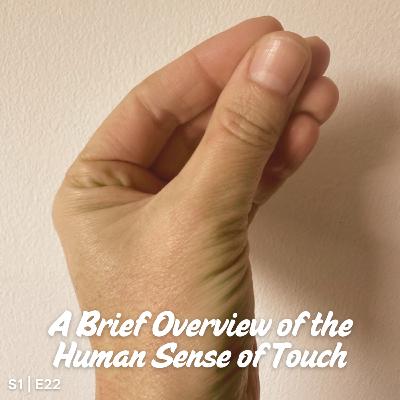 S1 E22 A Brief Overview of the Human Sense of Touch