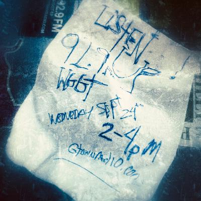 Show 641: Catnip Dreams Show 641: Catnip Dreams