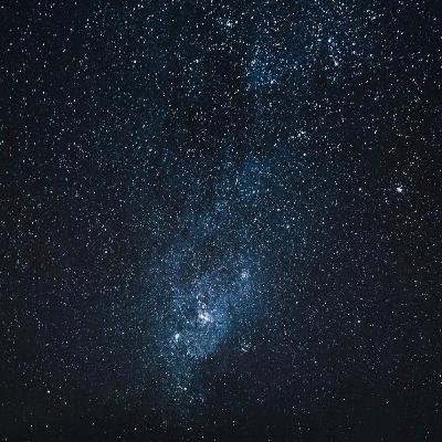 Prothèse olfactive, instinct paternel et étoiles