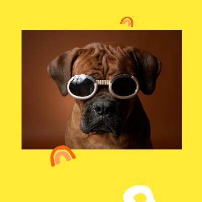 Primeros pasos para empezar a trabajar con tu mascota